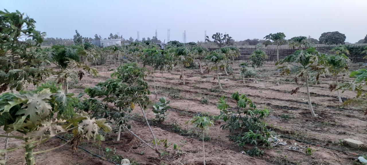 Saly Lrad Le Village Ngaring Dış mekan fotoğraf