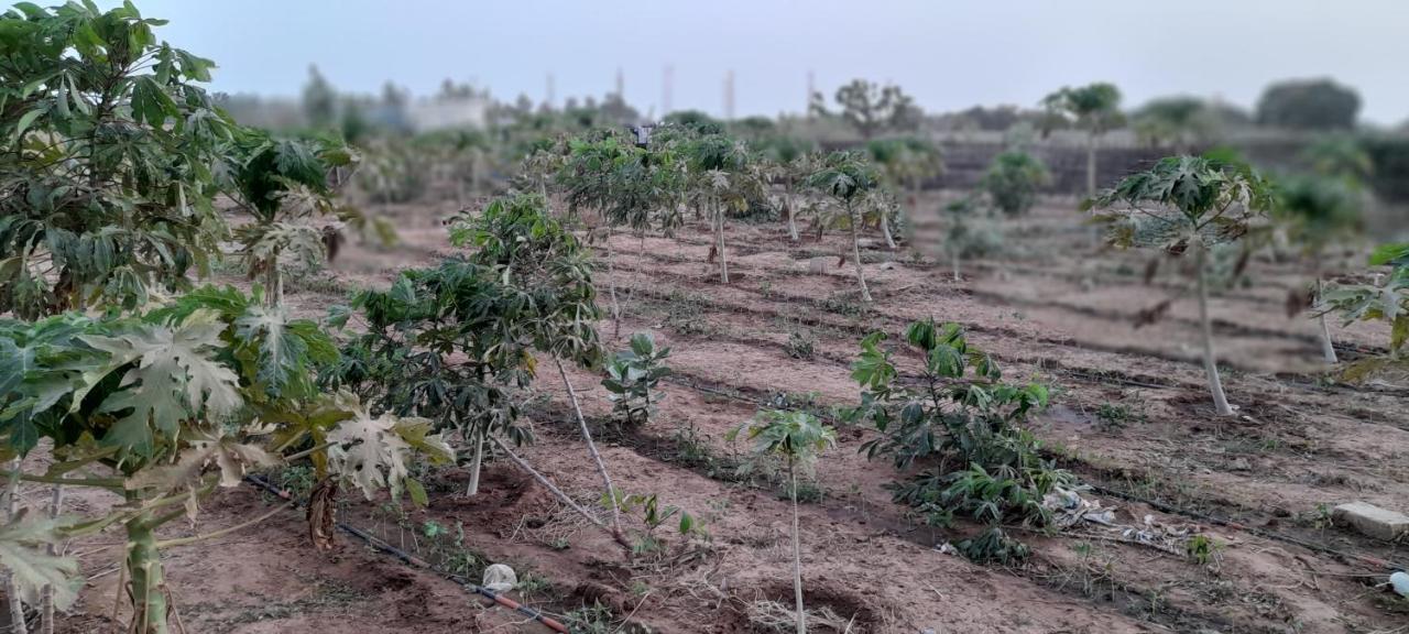 Saly Lrad Le Village Ngaring Dış mekan fotoğraf